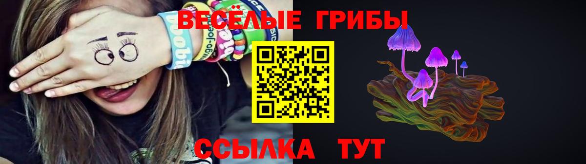 Армавир  Псилоцибиновые грибы Cubensis  Вход с VPN  Псилоцибиновые грибы GOLDEN TEACHER 